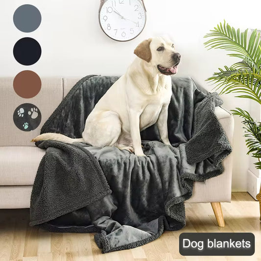 383e8b931f0d8ed40cb5e05b6f38a99a