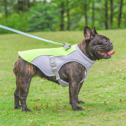 1980efc2bab21a1331ab832502d85529